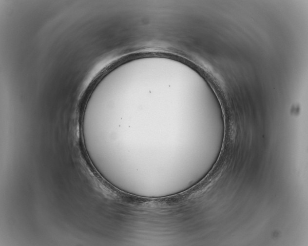 X0000097301368200803071744