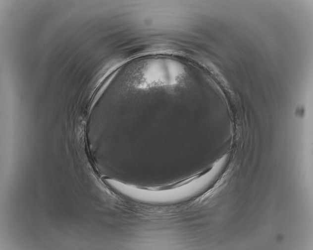 X0000097301369200803071744