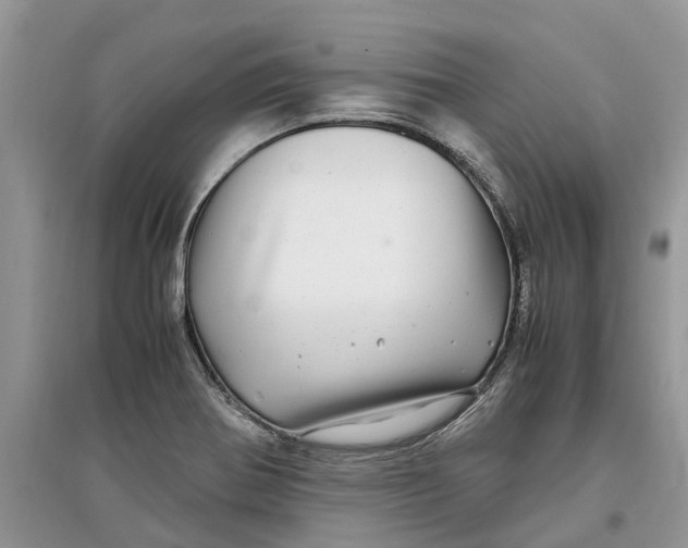 X0000097301370200803071744