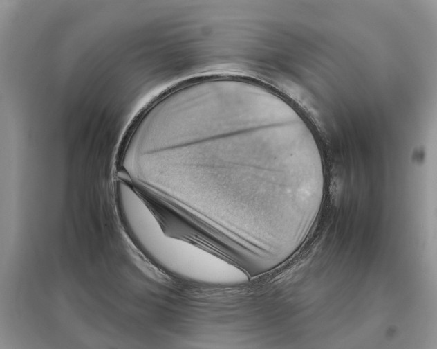 X0000097301372200803071744