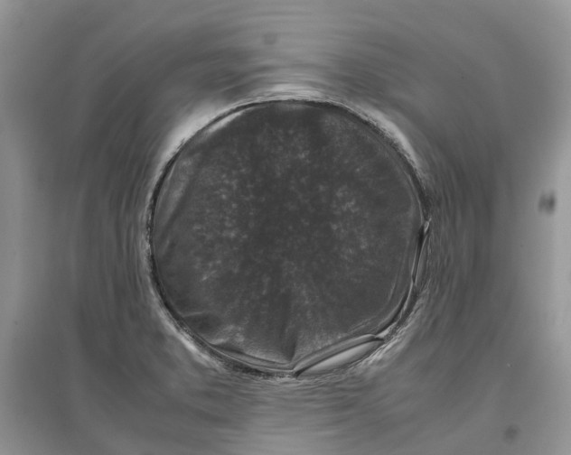 X0000097301373200803071744