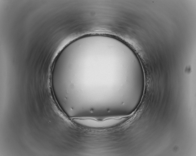 X0000097301374200803071744