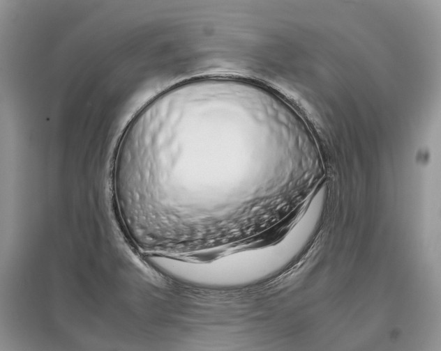 X0000097301375200803071744