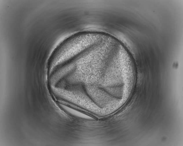 X0000097301376200803071744