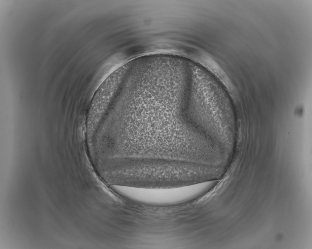 X0000097301377200803071744