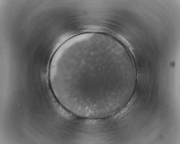 X0000097301378200803071744