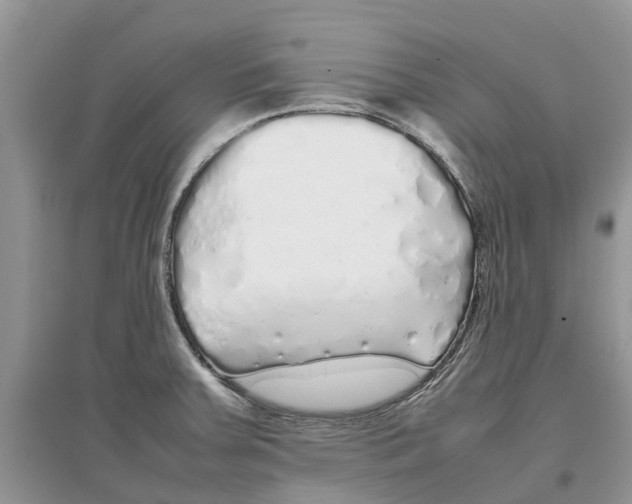 X0000097301379200803071744