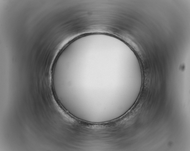 X0000097301380200803071744