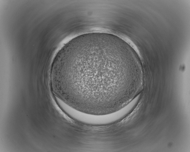 X0000097301381200803071744