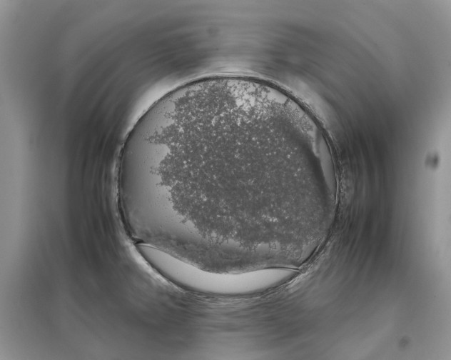 X0000097301382200803071744