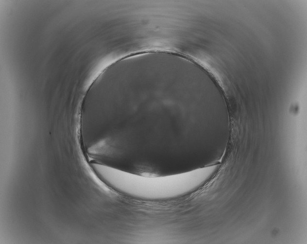 X0000097301383200803071744