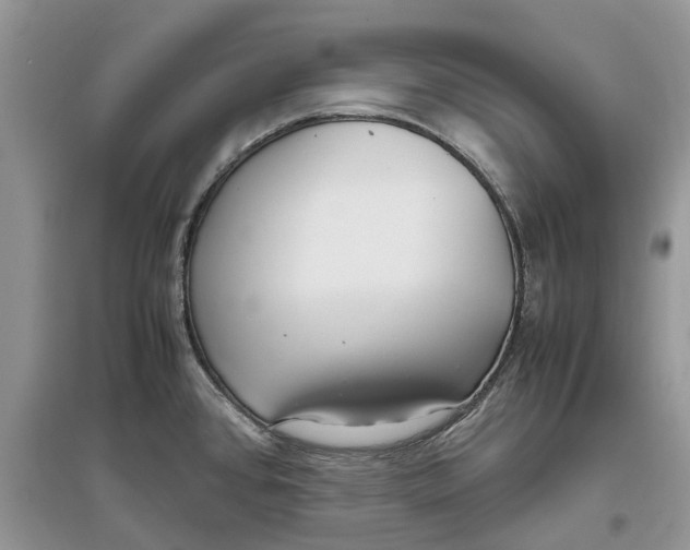 X0000097301384200803071744