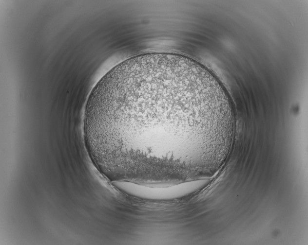 X0000097301386200803071744