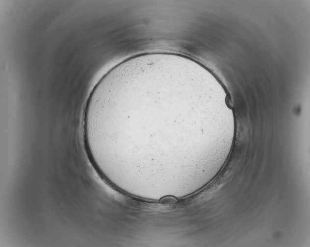 X0000097301387200803071743