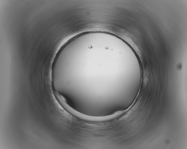 X0000097301388200803071743