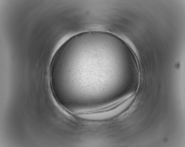 X0000097301389200803071743