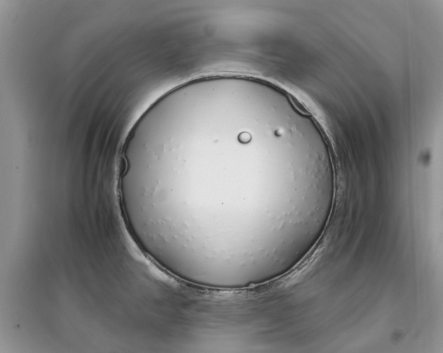 X0000097301390200803071743