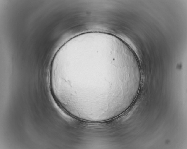 X0000097301391200803071743