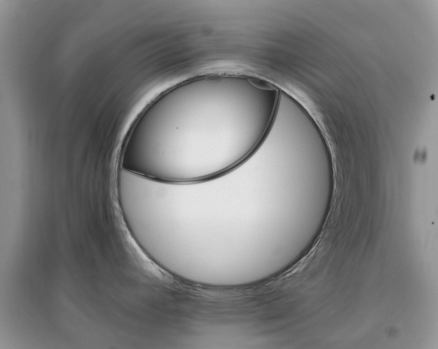 X0000097301392200803071743