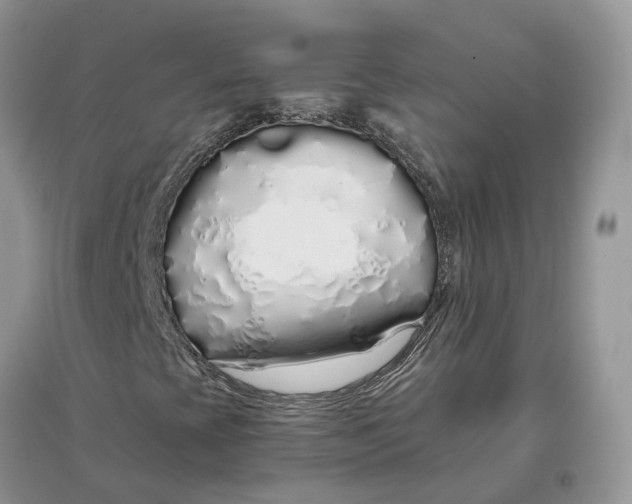 X0000097301393200803071743