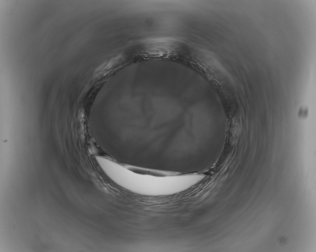 X0000097301394200803071743