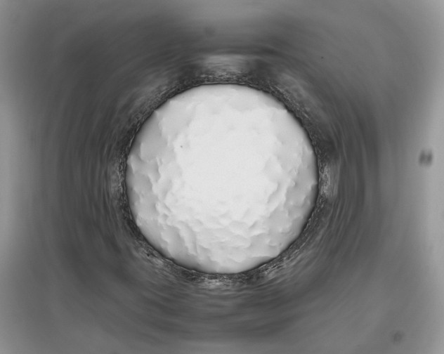 X0000097301395200803071743