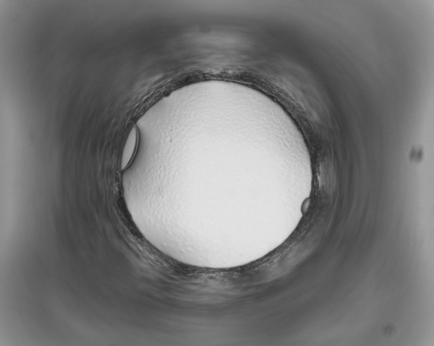 X0000097301396200803071743