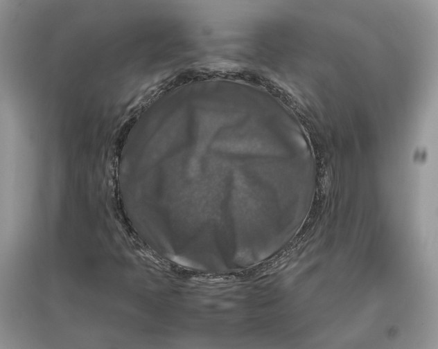 X0000097301397200803071743