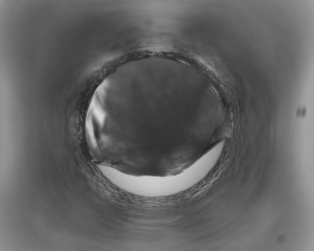 X0000097301398200803071743