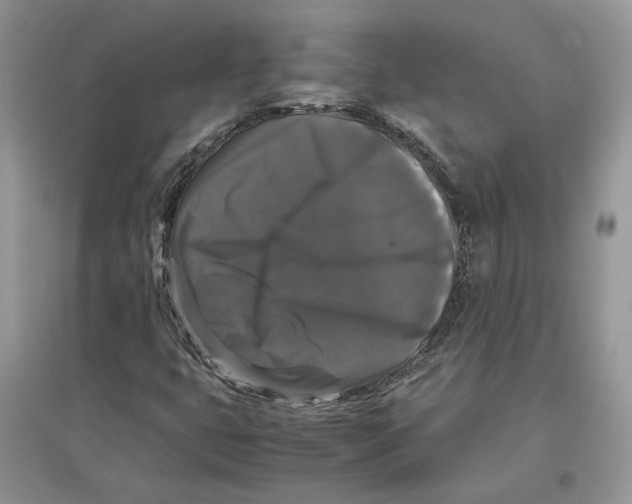 X0000097301399200803071743