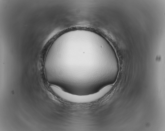 X0000097301400200803071743