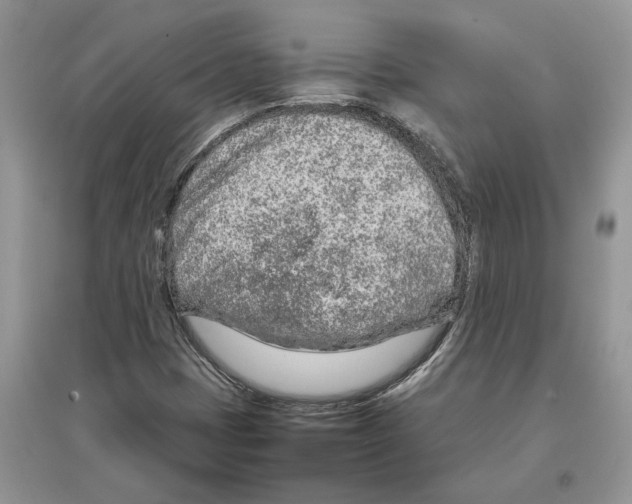 X0000097301401200803071743