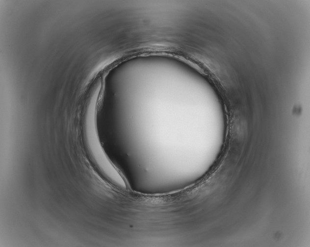 X0000097301402200803071743