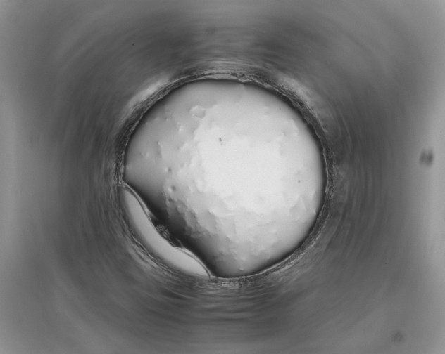 X0000097301403200803071743