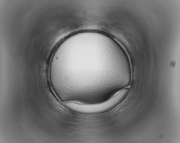 X0000097301404200803071743