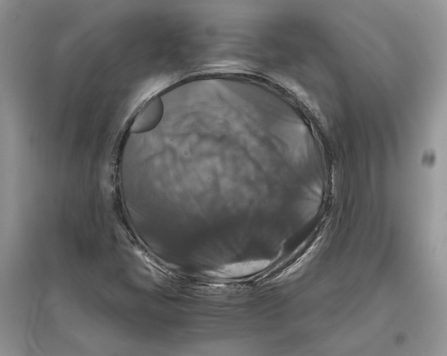 X0000097301405200803071743