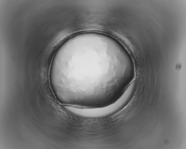 X0000097301407200803071743