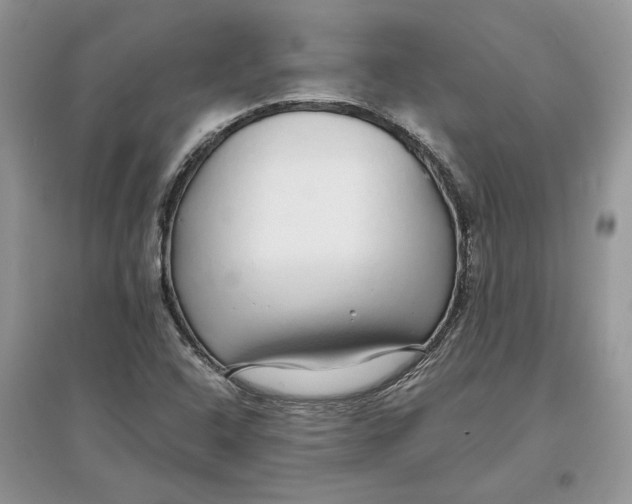 X0000097301408200803071743