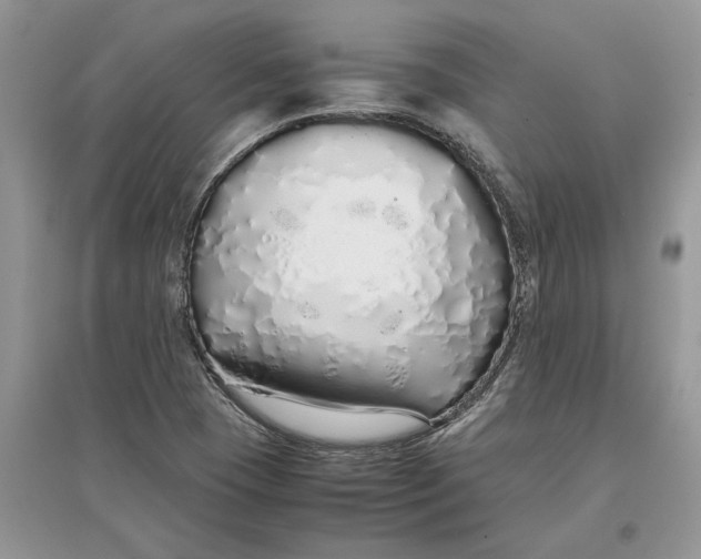 X0000097301409200803071743