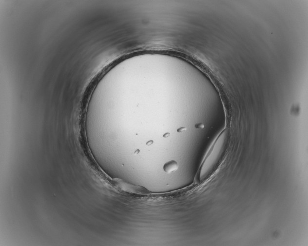 X0000097301410200803071743