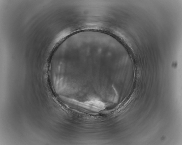 X0000097301411200803071743