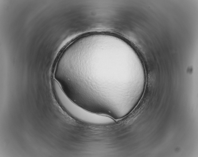 X0000097301412200803071743