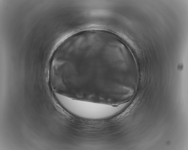 X0000097301413200803071743