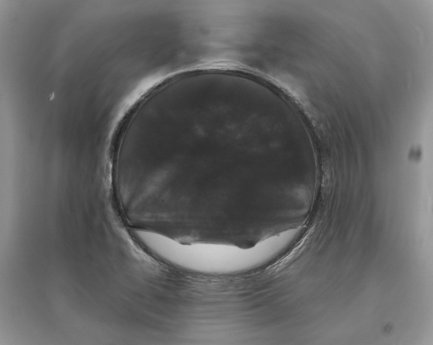 X0000097301414200803071743