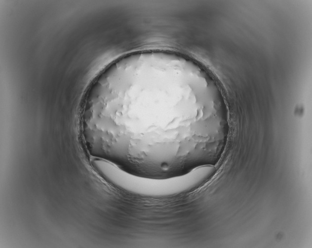 X0000097301415200803071743