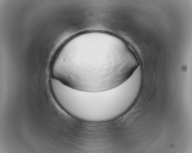 X0000097301416200803071743