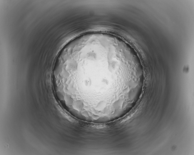 X0000097301417200803071743