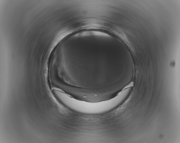 X0000097301418200803071743