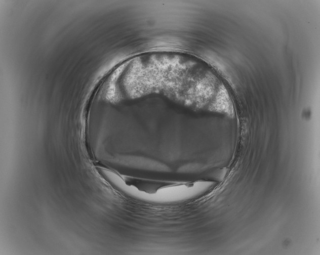 X0000097301419200803071743