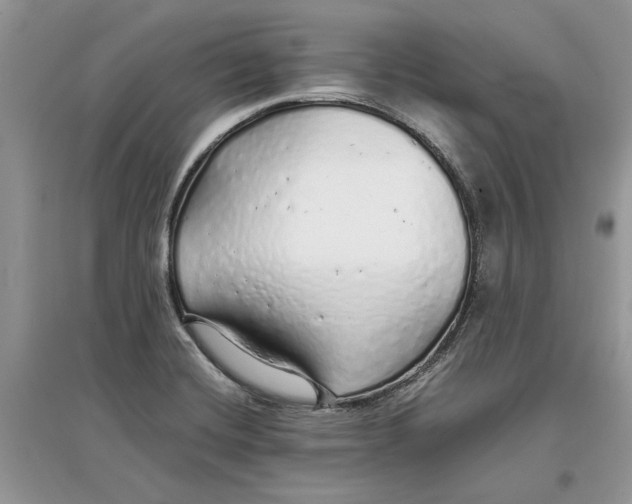 X0000097301420200803071743